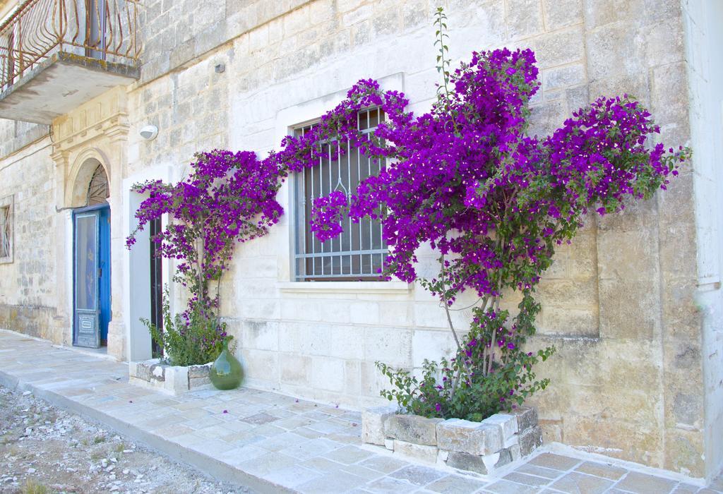 Casa Del Sud Villa ออสตูนี ภายนอก รูปภาพ